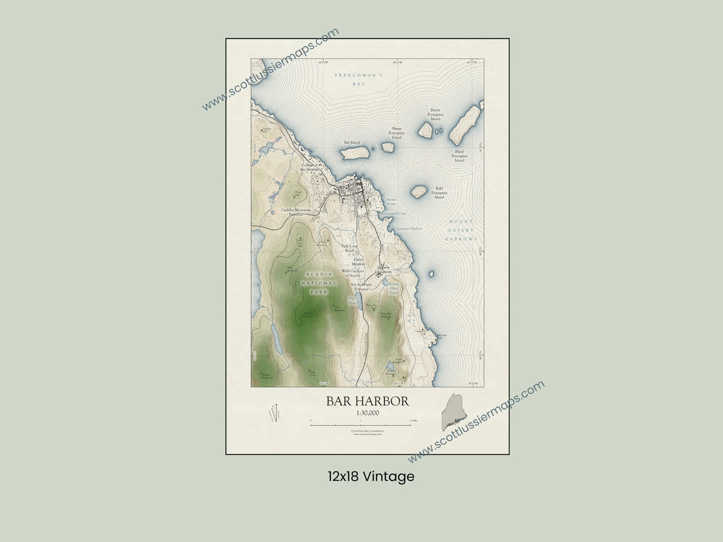 Bar Harbor Maine Map Art Print SHORELINE OR VINTAGE avail in two sizes 0625