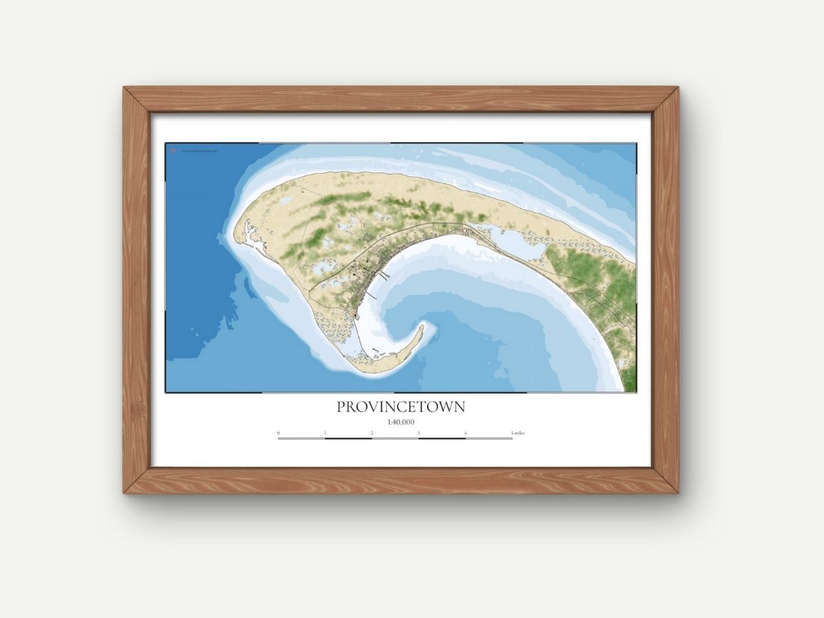 Provincetown Mass Cape Cod COASTAL Map Art Print 0225