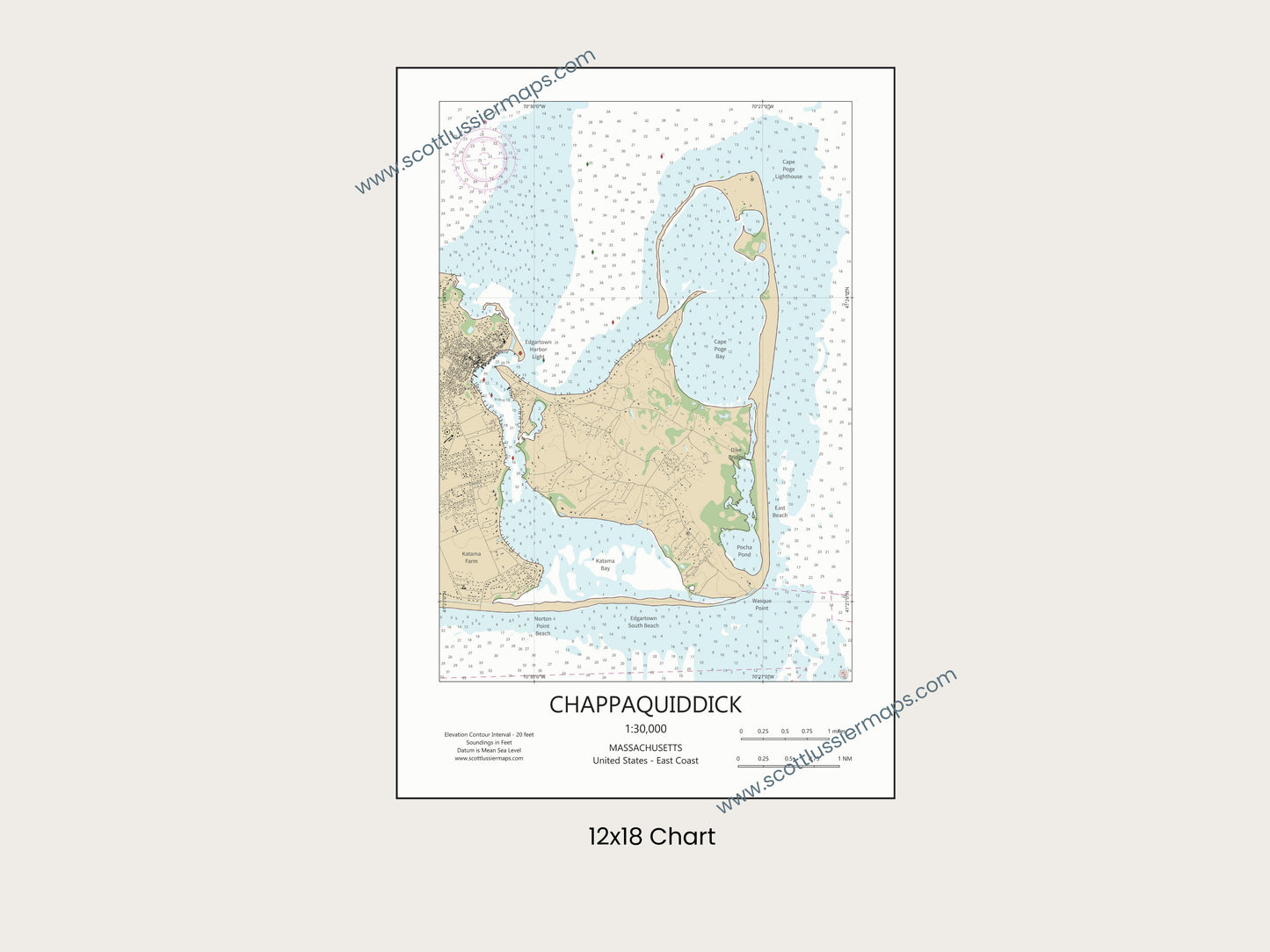 Chappaquiddick Martha’s Vineyard Massachusetts Cape Cod CHART Map Art Print