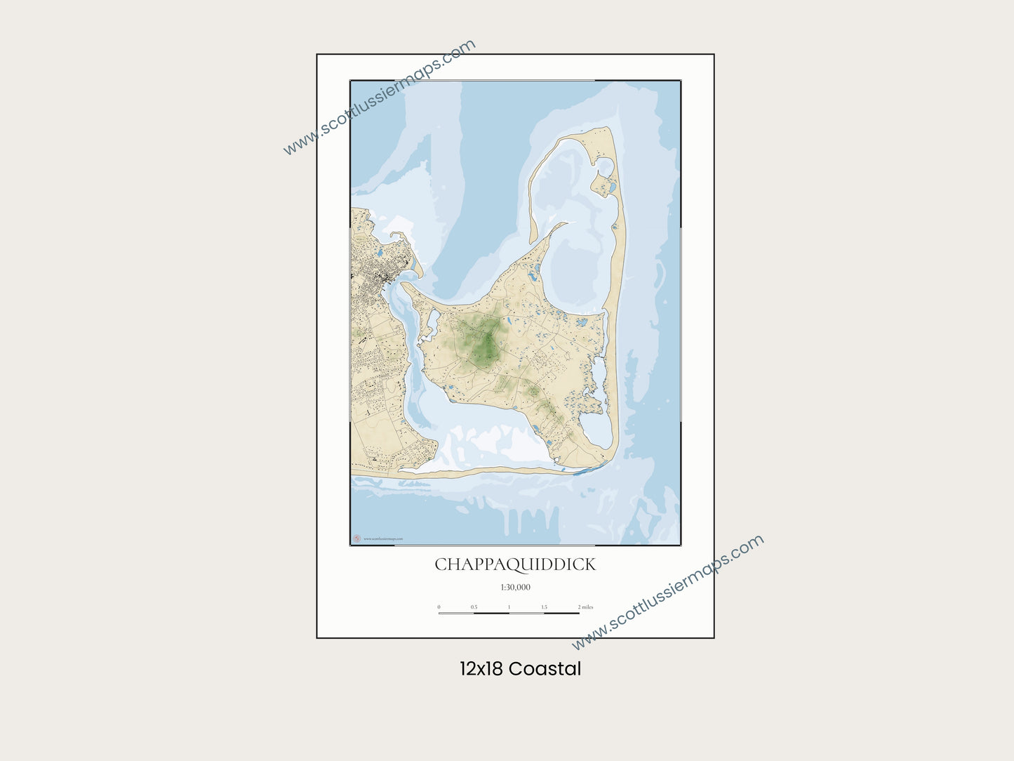 Chappaquiddick Martha’s Vineyard Massachusetts Cape Cod COASTAL Map Art Print