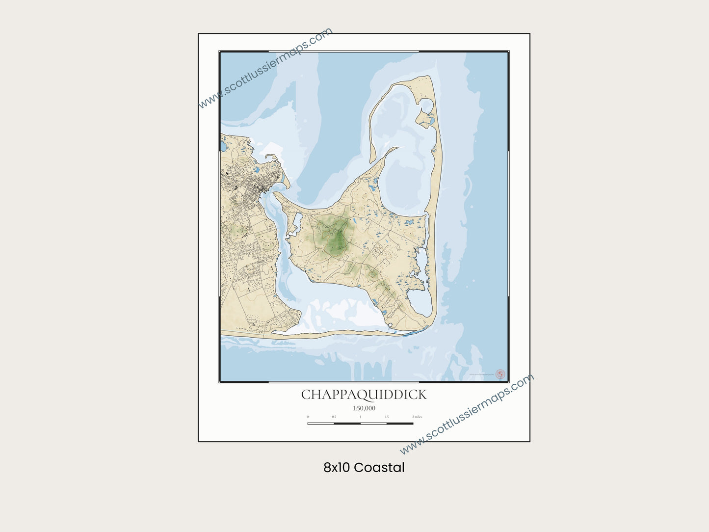 Chappaquiddick Martha’s Vineyard Massachusetts Cape Cod COASTAL Map Art Print