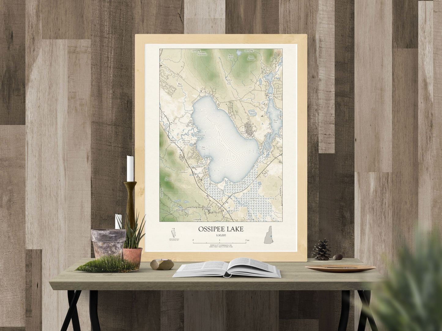 Ossipee Lake New Hampshire VINTAGE Map Art Print 0225
