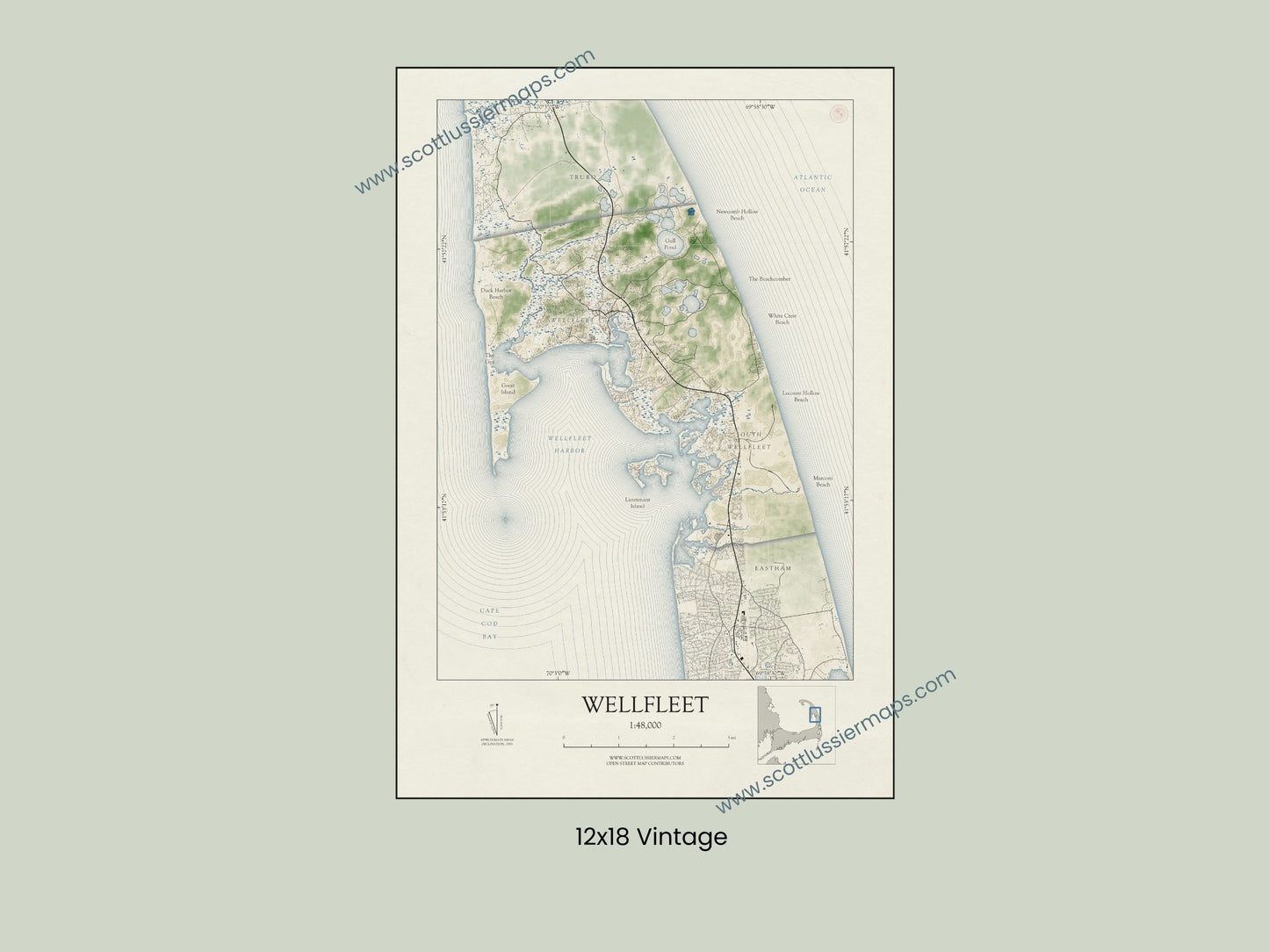 Wellfleet Mass Cape Cod VINTAGE Map Art Print 0225